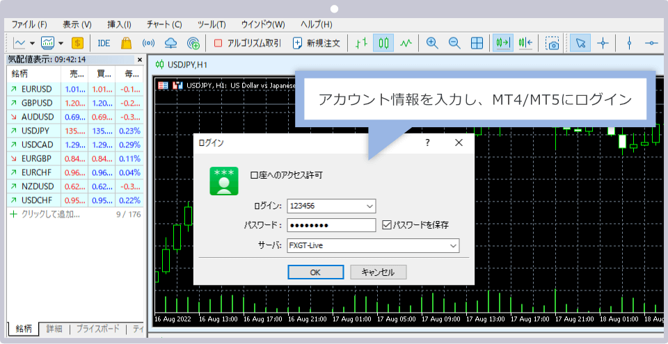アカウント情報を入力し、MT4/MT5にログイン