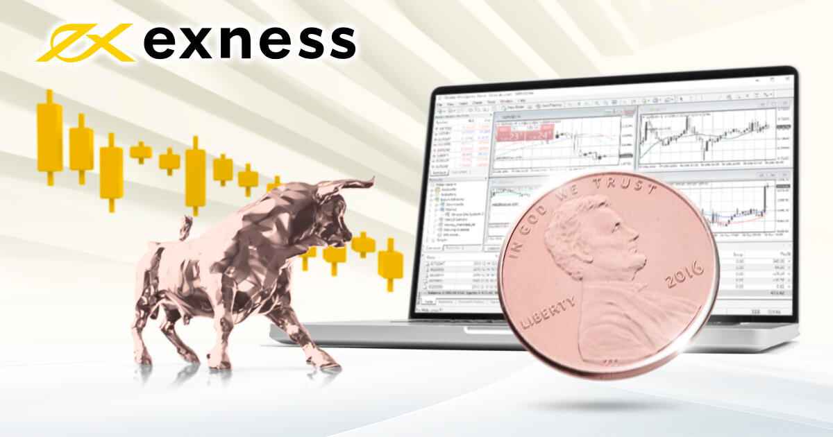 Exness(エクスネス)のスタンダードセント口座とは?特徴や活用方法を解説 | Exness | FXプラス™